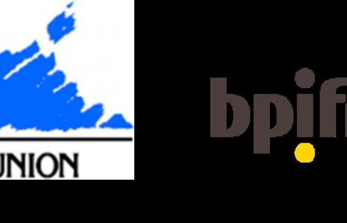 La Región de la Reunión y Bpifrance han lanzado el “Préstamo de Recuperación de la Reunión” destinado a apoyar el flujo de caja de las VPE y PYME que deseen financiar un programa de desarrollo – Bpifrance 2024