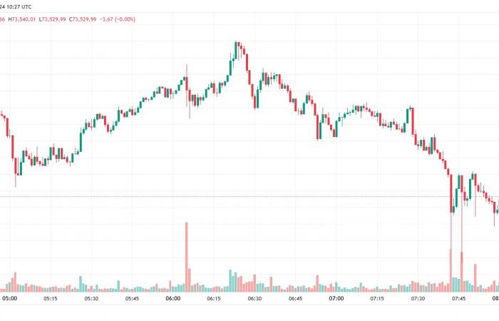 Presidente Donald Trump – Nuevo ATH para Bitcoin y explosión de Meme Coins