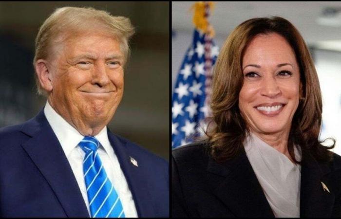 ¿Qué pasa si Trump y Harris empatan? ¿Cómo se decidirá el ganador?