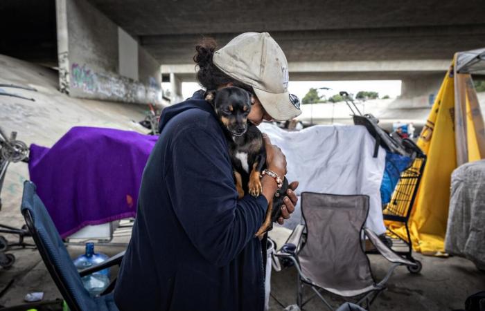 Los votantes del condado de Los Ángeles deciden la financiación para personas sin hogar y amplían la junta de superintendentes en las elecciones de 2024