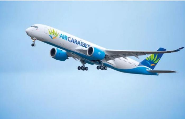 Air Caraibes y French Bee aumentarán el precio de sus billetes de avión