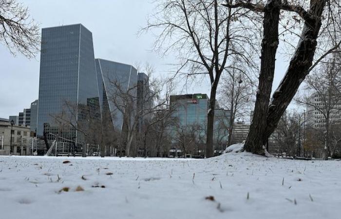 El sur de la provincia recibió este martes sus primeros copos de nieve