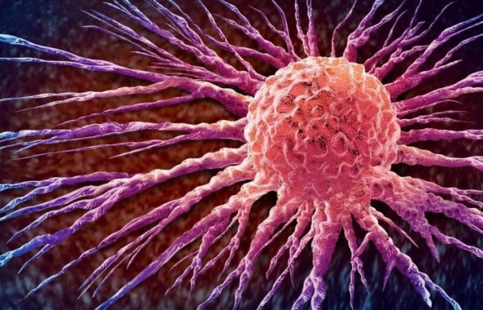 El ‘pegamento molecular’ obliga a las células cancerosas a autodestruirse uniendo dos proteínas clave