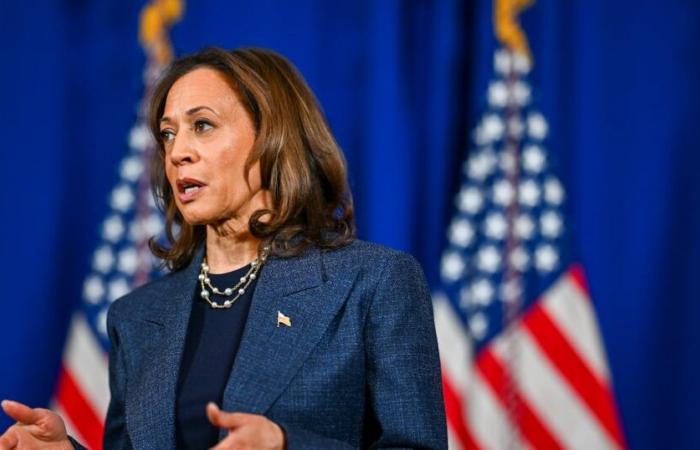 Kamala Harris Camp afirma que las elecciones de 2024 son ‘muy delgadas’ mientras las probabilidades favorecen a Donald Trump