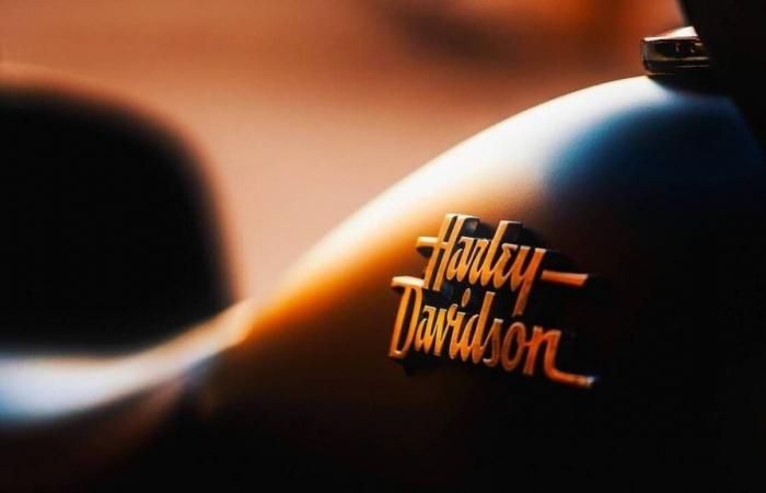 Vende una Harley-Davidson que perteneció a Johnny Hallyday para pagar su jubilación