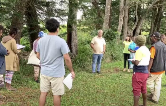 Agricultura en Nueva Caledonia: la asociación Bio Caledonia refuerza la formación en torno a la etiqueta Bio Pasifika