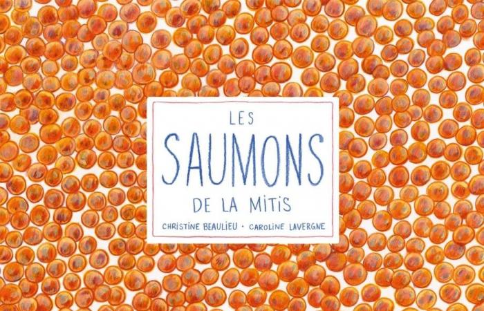 Literatura infantil | El salmón Mitis gana el Premio TD