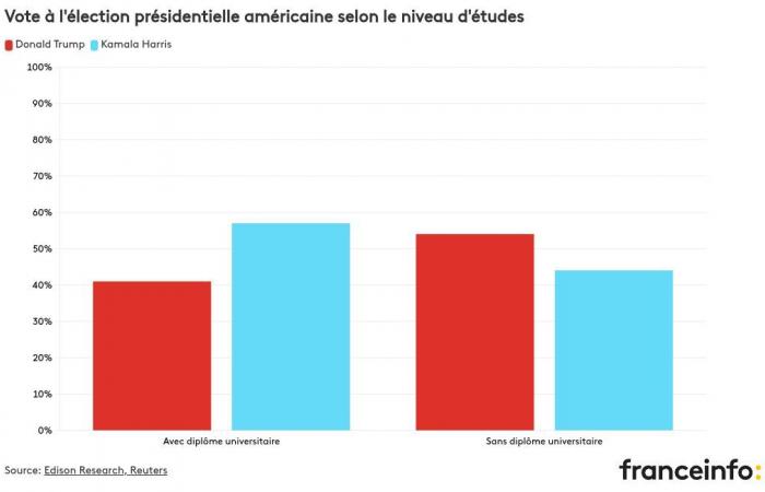 ¿Por quién votaron las mujeres, los jóvenes o las minorías étnicas?