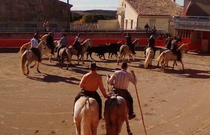 Vuelve la fiesta por el día de San Martín