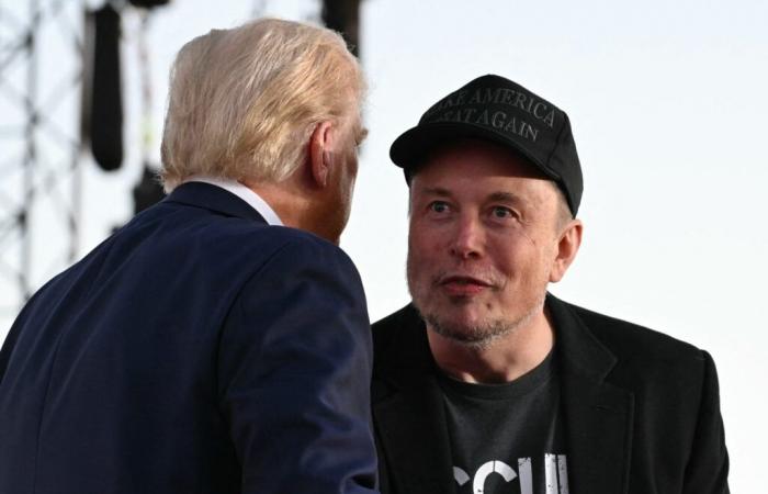 ¿Se ha convertido Elon Musk en el verdadero vicepresidente de Donald Trump?