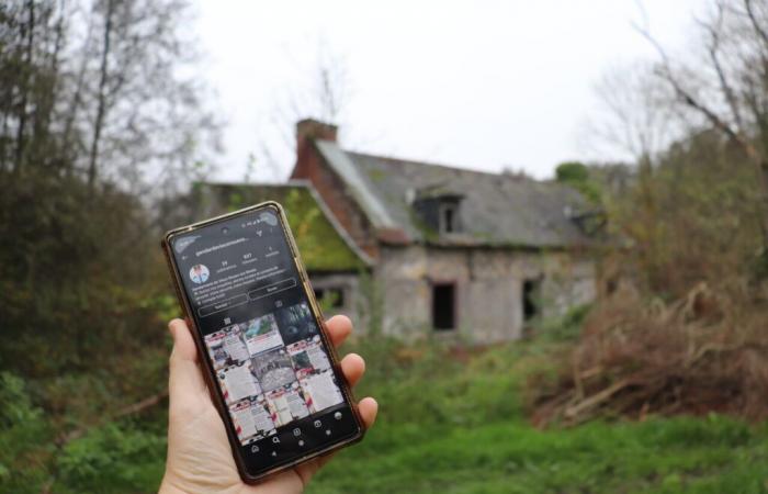 Se realizó una encuesta virtual en este pueblo de Sena Marítimo.