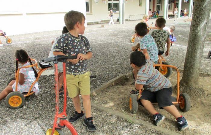 “Yo soy el jefe, tienes que meterte la polla en la boca…” Un niño de 4 años víctima de acoso escolar, testifica su madre