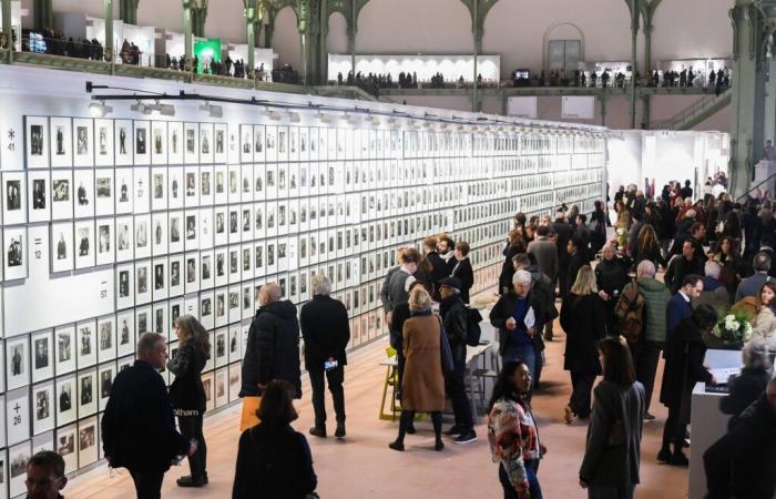 A Paris Photo, un regreso en blanco y negro al Grand Palais