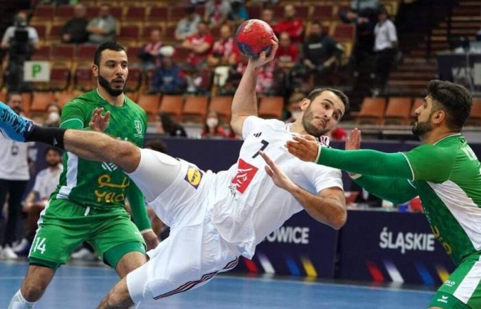 Balonmano. Lesionados, Prandi y Villeminot dejan los Bleus, Lagarde llega como refuerzo