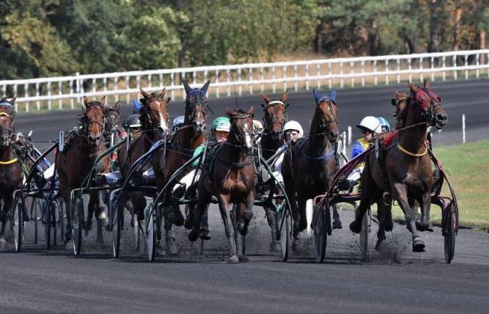 Predicciones de carreras de caballos para el viernes 8 de noviembre de 2024