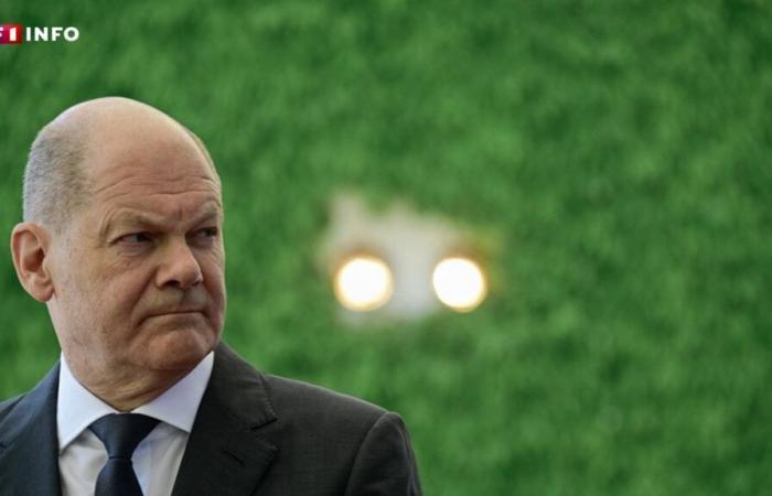 Crisis política en Alemania: Olaf Scholz destituye al Ministro de Finanzas, el país sumido en la incertidumbre