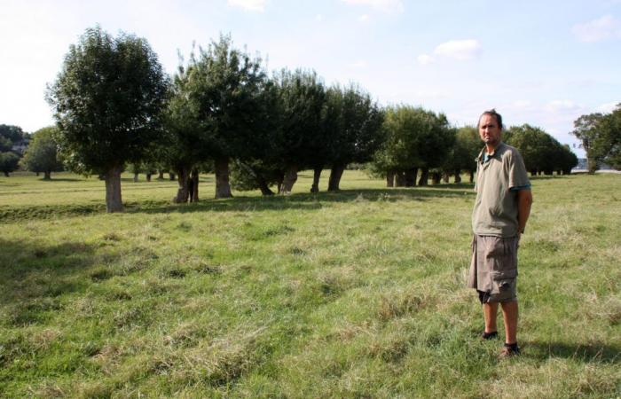 Maine y Loira. El Parque da a conocer el ganador del concurso “Prácticas Agroecológicas de Praderas y Pastizales”