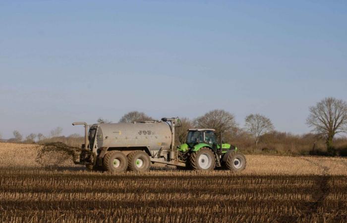 El prefecto de Oise prorroga las fumigaciones agrícolas hasta el 15 de noviembre