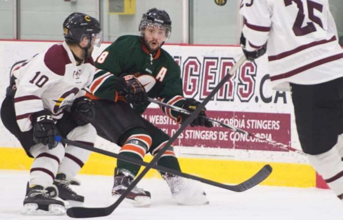 Posible éxodo de jugadores de hockey de Quebec a la NCAA: la RSEQ pierde el tren