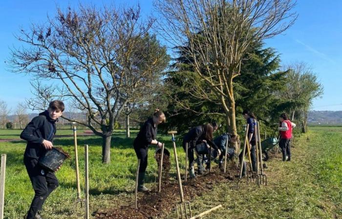 Por qué el proyecto de ley de finanzas de 2025 preocupa tanto a esta asociación del Lauragais