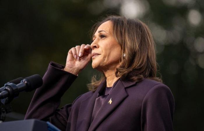 Beyoncé, Taylor Swift o Cardi B… Estas estrellas cuyo apoyo no fue suficiente para Kamala Harris