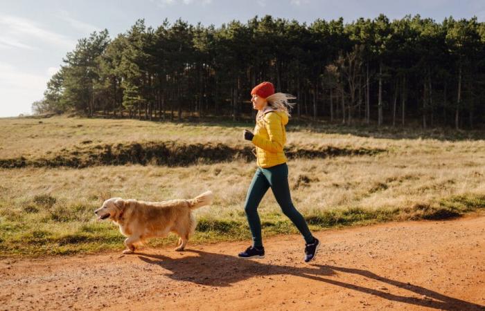 Objetivo de inmunidad: productos vitamínicos para mantenerse en forma antes del invierno