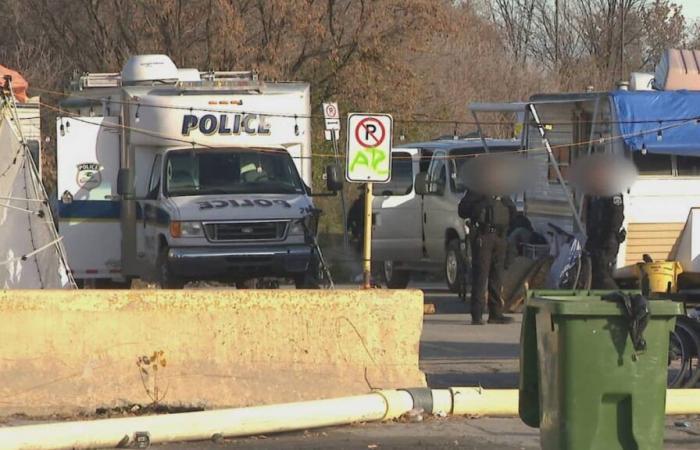 Narcóticos: una búsqueda realizada en un campo de personas sin hogar en Gatineau