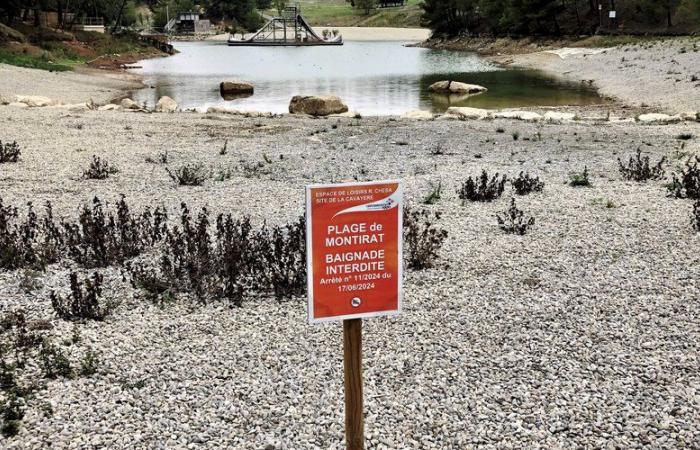 ¿Qué futuro tiene Carcassonne Plage? Una solución esperada para finales de noviembre