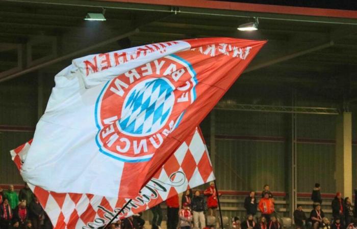 Fútbol: Muere un seguidor del partido Bayern Munich – Benfica