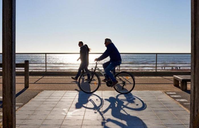 Moverse por la mañana y por la noche reduce el riesgo de cáncer colorrectal