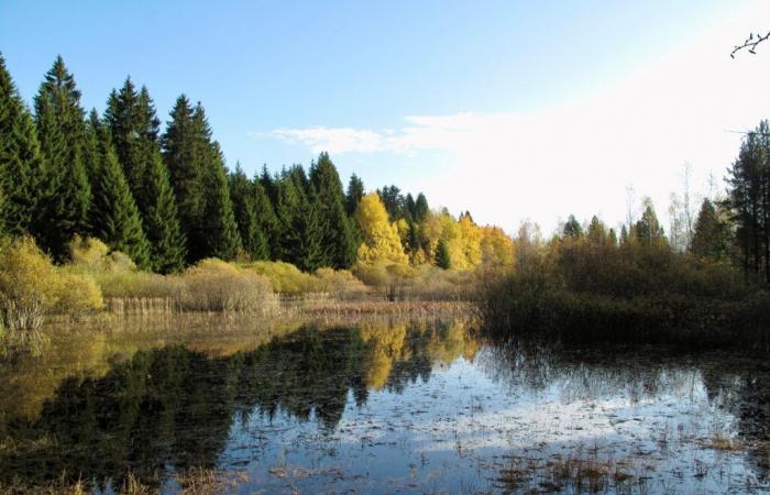 Protección revisada y reforzada de tres lugares naturales destacados de las Franches-Montagnes