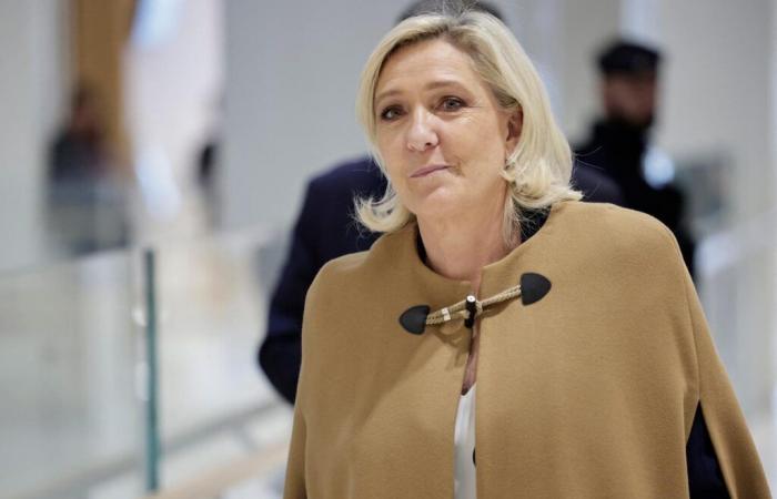 Tras la victoria de Trump, Marine Le Pen y Jordan Bardella, cautelosos, sus tropas exultan