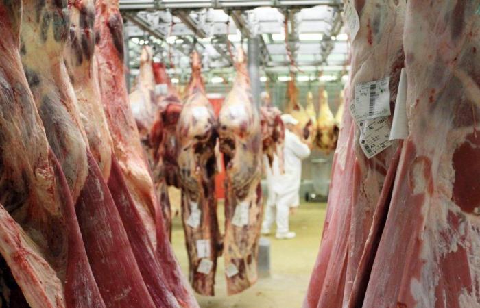 Los precios de la carne de ovino se disparan en los mataderos de Casablanca