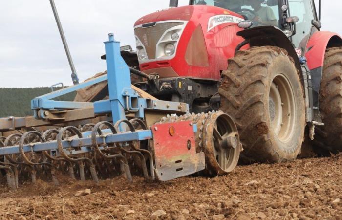 En Vaucluse, la producción de cereales es cada vez menos rentable