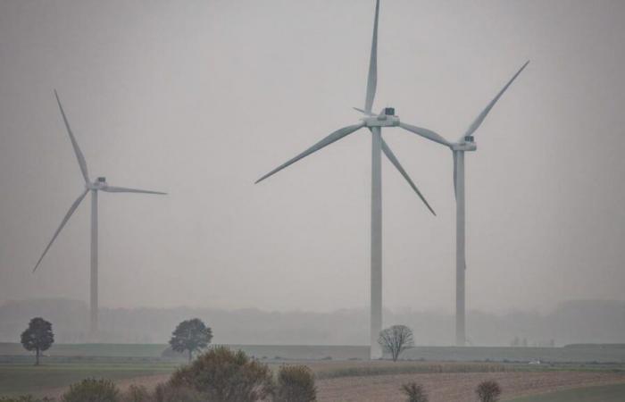 “Es como si hubiésemos puesto un freno a la región”: por qué el Norte-Paso de Calais no ve el sol desde principios de noviembre