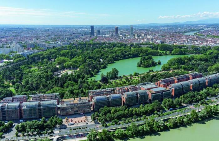 Inmobiliaria en el VI distrito de Lyon: un mercado lento y los precios bajan un 6,4%