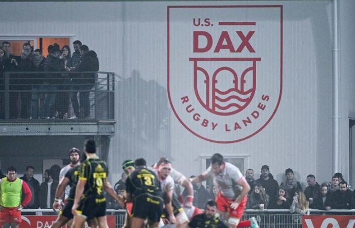 Pro D2 – Dax: dos jugadores objeto de una investigación tras su comportamiento durante un partido