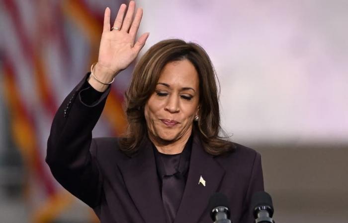 ¿Qué futuro para el Partido Demócrata tras el fracaso de Kamala Harris?