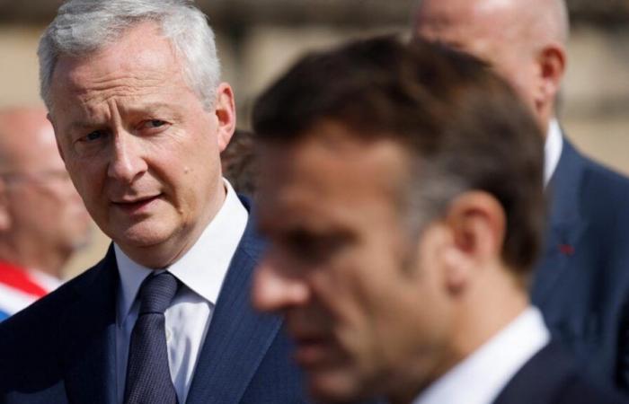 Bruno Le Maire y Emmanuel Macron, dos sospechosos en el punto de mira de la investigación del Senado