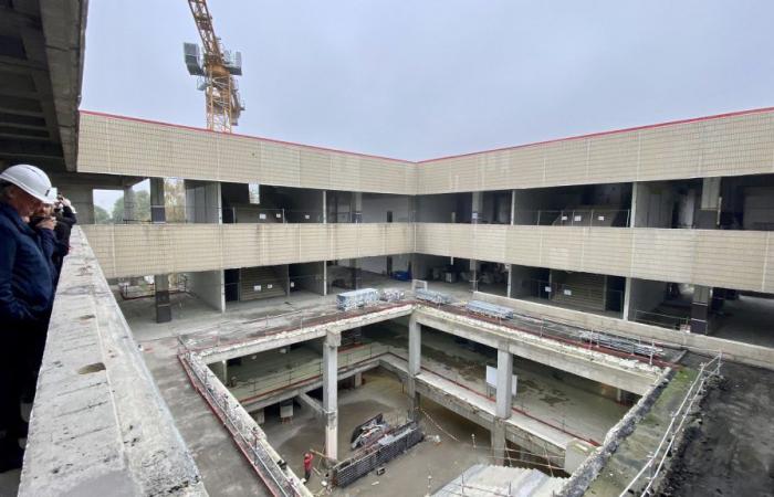 ¿Cómo será la gigantesca biblioteca de Pont de Bois?