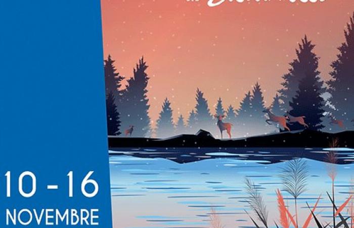 Festival de cine de Quebec en Biscarrosse