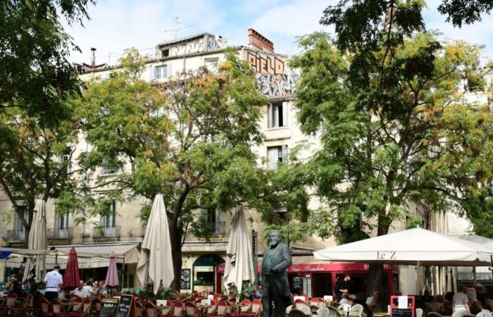 Inmobiliaria en Montpellier: a pesar de una ligera mejora, las ventas en caída libre