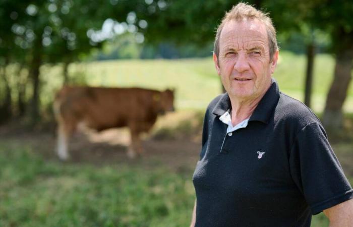 En 2024, los agricultores no habrán elaborado su trigo a partir de cereales.