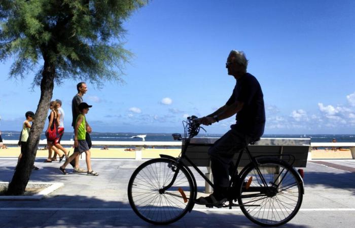 En la cuenca de Arcachon, los conflictos empiezan a surgir