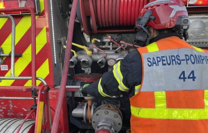 En Pierric, un cobertizo agrícola de 100 m² destruido por un incendio