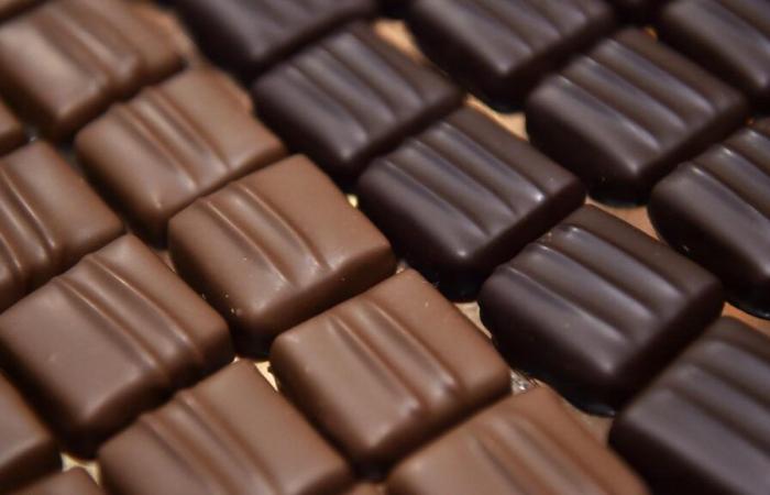 ¿Qué era ese salón de chocolate de Yvetot que al final dejó de serlo?