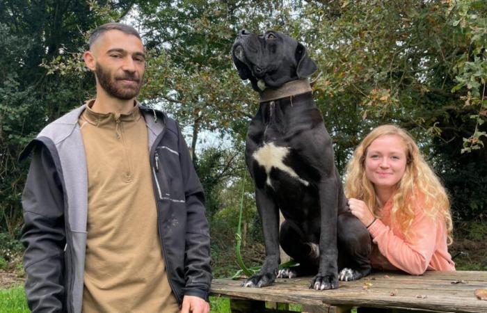 lo dejaron todo por su pasión por los perros