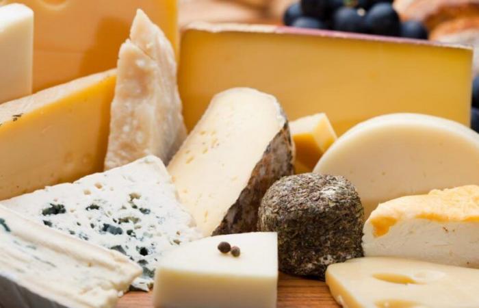 Aunque sea graso y rico en calorías, el queso es bueno para la salud según este estudio francés