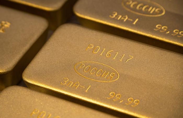 La demanda de oro de los ETF se vuelve positiva desde principios de año, dice WGC