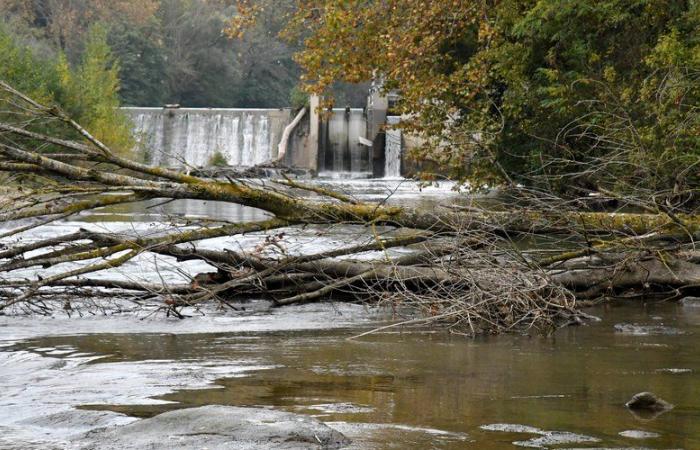 Los vecinos de Carcasona están preocupados por el mal mantenimiento del río Aude y exigen una limpieza rápida